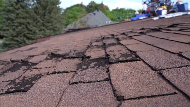 Best Gutter Installation and Repair  in Alexandria Bay, NY