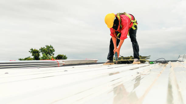 Best Rubber Roofing (EPDM, TPO)  in Alexandria Bay, NY